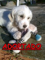 /album/adoptados-/a188257-104635152952221-100002172109230-42378-191974-n-jpg/