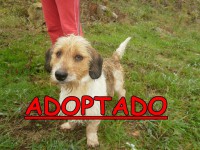 /album/adoptados-/a189609-104634792952257-100002172109230-42364-4881518-n-jpg/