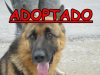 /album/adoptados-/a190659-104635549618848-100002172109230-42389-4111097-n-jpg/