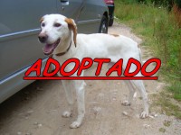 /album/adoptados-/a196111-104633259619077-100002172109230-42313-904552-n-jpg/