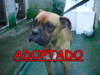 /album/adoptados-/a196509-104634112952325-100002172109230-42342-6573029-n-jpg/