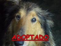 /album/adoptados-/a199423-104634076285662-100002172109230-42340-466983-n-jpg/