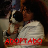 /album/adoptados-/a200149-104635122952224-100002172109230-42377-4678340-n-jpg/