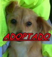 /album/adoptados-/a200371-104633402952396-100002172109230-42316-8376997-n-jpg/