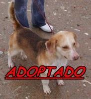 /album/adoptados-/a199603-108077375941332-100002172109230-77274-7342025-n-jpg/