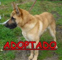 /album/adoptados-/a205026-111509142264822-100002172109230-105017-3883790-n-jpg/