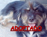 /album/adoptados-/a215981-115210208561382-100002172109230-131573-6424476-n-jpg/