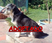 /album/adoptados-/a224804-115210195228050-100002172109230-131572-50114-n-jpg/