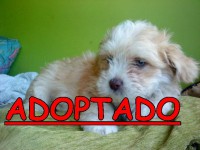 /album/adoptados-/a226078-116102591805477-100002172109230-138709-3748039-n-jpg/