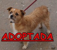 /album/adoptados-/a226163-116440015105068-100002172109230-140676-1317860-n-jpg/