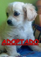 /album/adoptados-/a225266-118961784852891-100002172109230-156400-6093044-n-jpg/