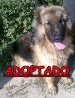 /album/adoptados-/a228254-119519664797103-100002172109230-159898-6464144-n-jpg/