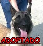 /album/adoptados-/a230056-119062094842860-100002172109230-157137-193743-n-jpg/