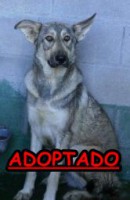 /album/adoptados-/a226847-121084217973981-100002172109230-170013-1659767-n-jpg/