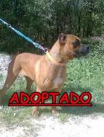 /album/adoptados-/a226614-121031121312624-100002172109230-169717-3303398-n-jpg/