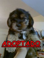 /album/adoptados-/a248734-123450637737339-100002172109230-187694-1793364-n-jpg/