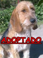 /album/adoptados-/a249552-125302717552131-100002172109230-199982-3223715-n-jpg/