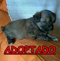 /album/adoptados-/a249808-123450624404007-100002172109230-187693-7121028-n-jpg/