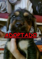 /album/adoptados-/a249867-123450661070670-100002172109230-187695-5102348-n-jpg/