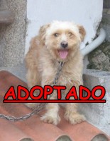 /album/adoptados-/a252849-123675197714883-100002172109230-189069-2827404-n-jpg/