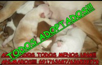 /album/adoptados-/a249416-126730064076063-100002172109230-210086-1713824-n-jpg/